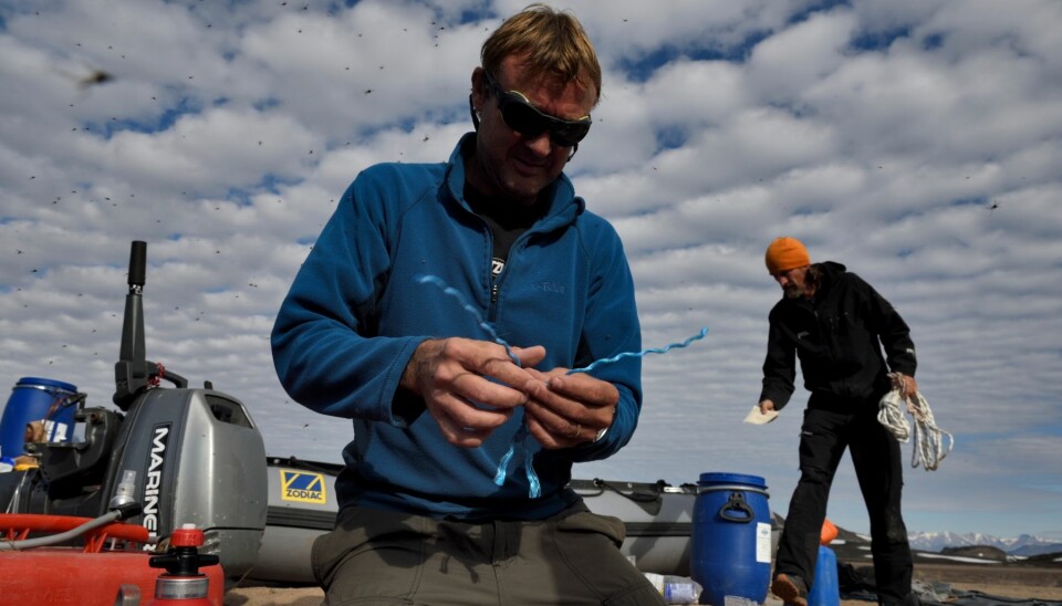 At Mestersvig, the team battle with Arctic mosquitoes as they check through all of their equipment before setting off on their Arctic expedition. (Photo: Robbie Stone).