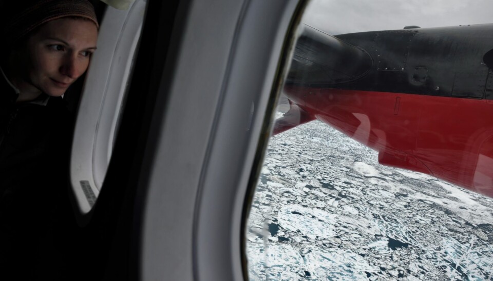 Expedition leader, Gina Moseley looks out at the ice on the flight from Iceland to Greenland. (Photo: Robbie Stone).