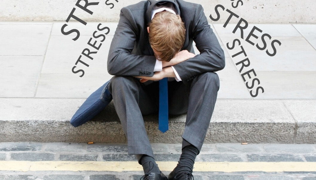 Research with rats has revealed the surprising finding that a combination of stress and exercise seems to aid rehabilitation after the brain has suffered damage. (Photo: Colourbox) Research with rats has revealed the surprising finding that a combination of stress and exercise seems to aid rehabilitation after the brain has suffered damage. (Photo: Colourbox)
