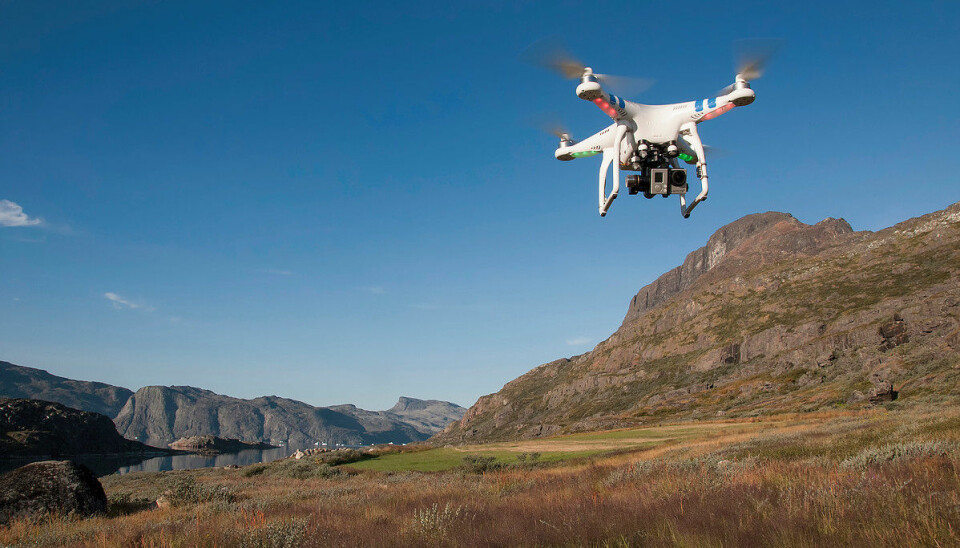 Drones are an important tool for mapping the agronomic potential of fields in south Greenland for sheep farming expansion (Photo: Bo Elberling)