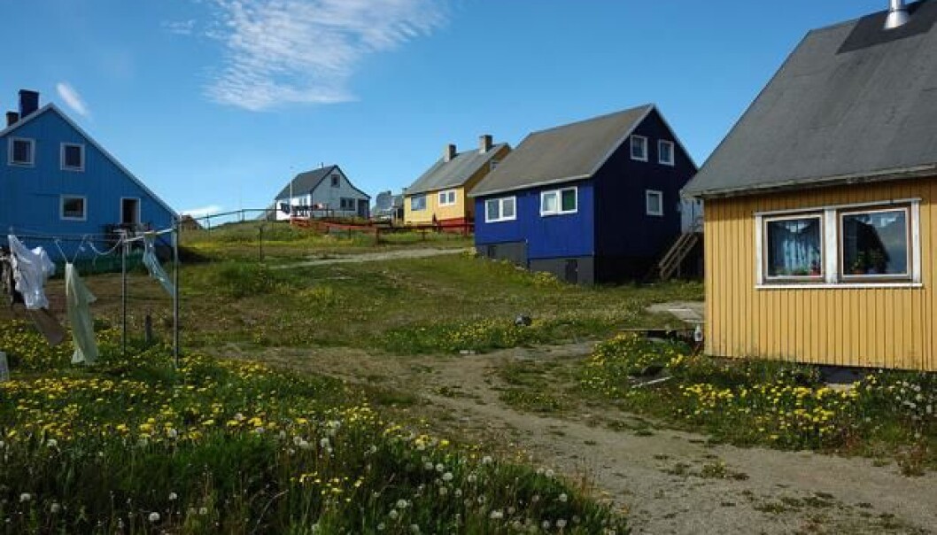 The town of Narsaq (meaning ‘plain’ in Greenlandic) is located in south west Greenland. The town has two leading industries: fishing and sheep farming. But soon mining could be added to the list. (Photo: Adrian boliston / Flickr / Wikimedia Commons) The town of Narsaq (meaning ‘plain’ in Greenlandic) is located in south west Greenland. The town has two leading industries: fishing and sheep farming. But soon mining could be added to the list. (Photo: Adrian boliston / Flickr / Wikimedia Commons)