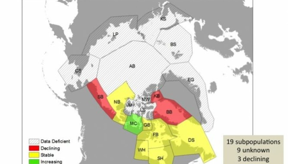 There are 19 designated polar bear management zones. In many of these, there are no data on current population numbers. Elsewhere the picture is mixed with some populations in decline while others are increasing. Data are valid for 2014. (Illustration: Polar Bear Specialist Group)