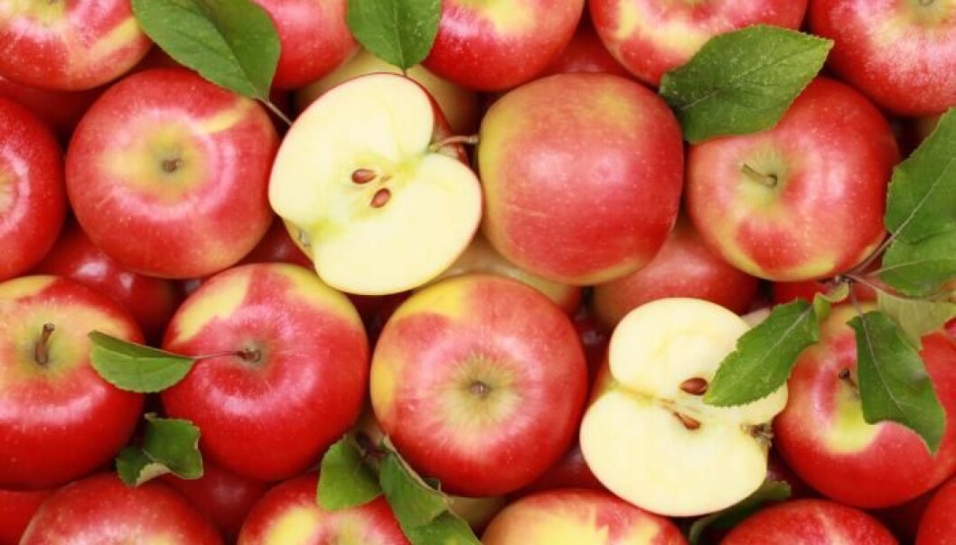 Apple peel is just as high in vitamins as the rest of the apple put together. But vitamin C is also highly variable among different apple varieties. (Photo: Shutterstock) Apple peel is just as high in vitamins as the rest of the apple put together. But vitamin C is also highly variable among different apple varieties. (Photo: Shutterstock)