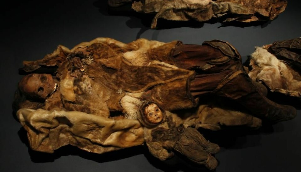 Four of the eight mummies discovered by hunters in a stone grave in north west Greenland in 1972 are on display in the Greenland National Museum, Nuuk. There are three women and an infant that is believed to have been about 6 months old at the time of death. Scientists do not know why they died. (Photo: Kristine Jacobsen)