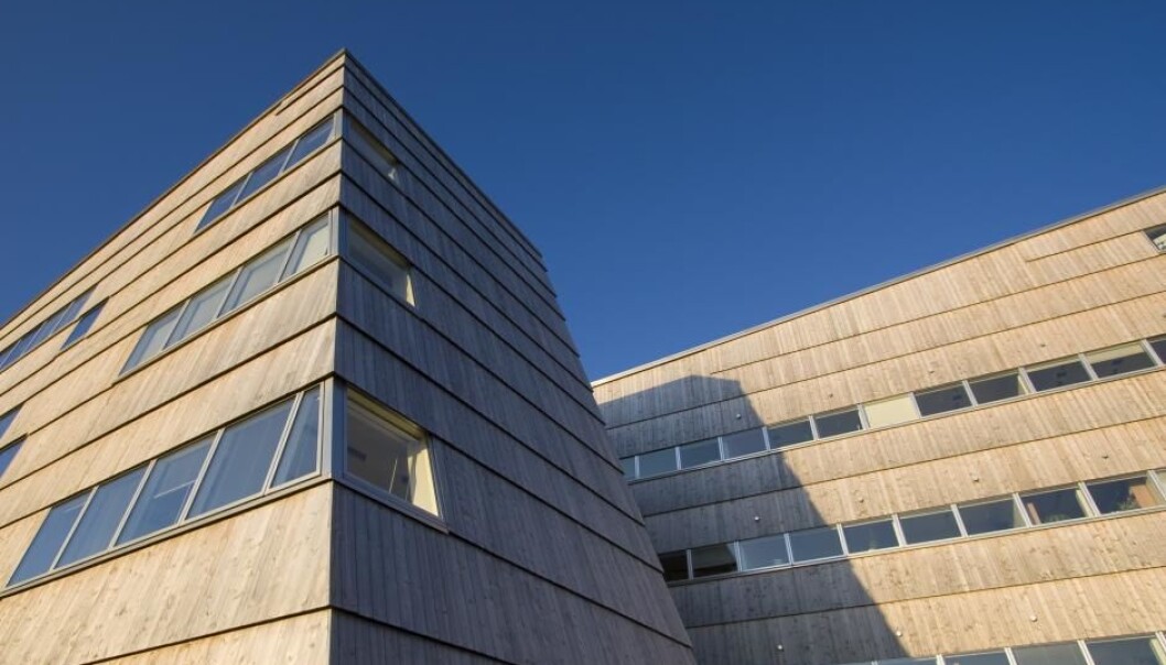 The University of Greenland (Ilisimatusarfik) is the only University in the country. Most of the research staff here come from Denmark. (Photo: Shutterstock) The University of Greenland (Ilisimatusarfik) is the only University in the country. Most of the research staff here come from Denmark. (Photo: Shutterstock)
