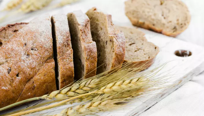 Living longer by eating whole grain bread