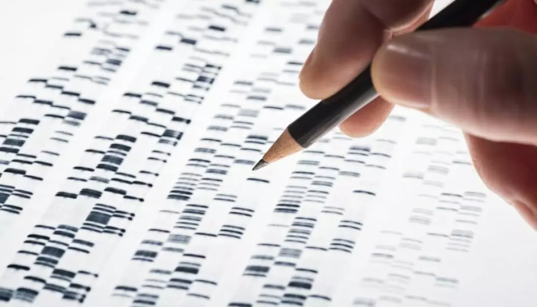 Cancer genes remain inactive, so long as they remain isolated and protected within the DNA-structure. But they can become activated as soon as this changes. The new discovery could lead to new treatments and cancer screening methods in the future. (Photo: Shutterstock)