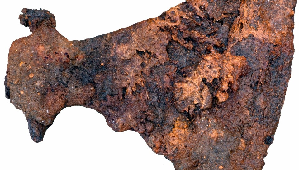 Archaeologists found a large axe buried in one of the men's graves (Photo: Museum Silkeborg)
