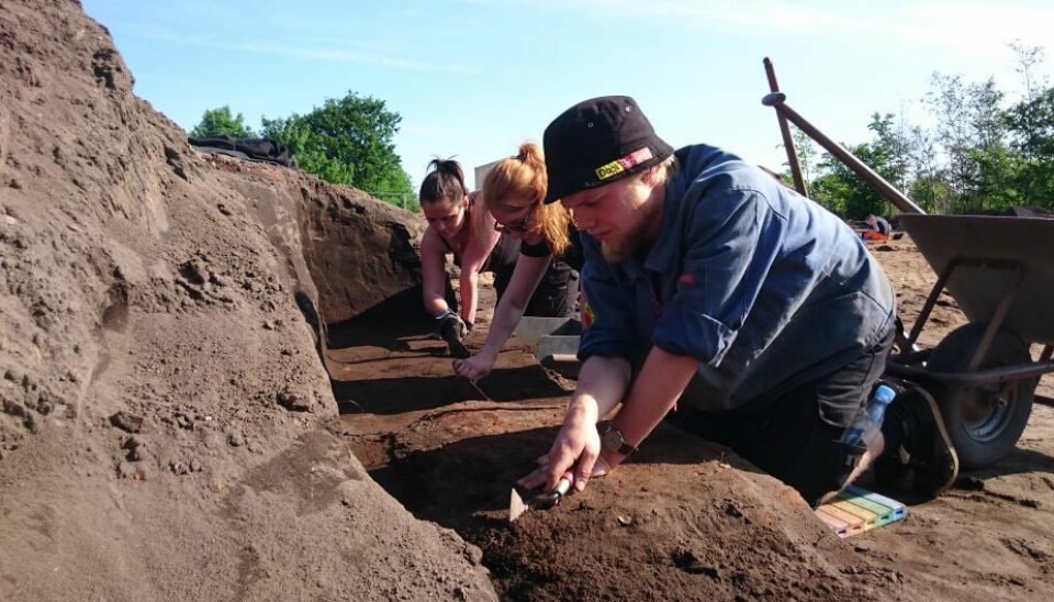 An excavation of burial grounds in Scandinavia’s first city, the Viking town of Ribe in Denmark, raises more questions than it answers. Why did the town suddenly start to build on top of the graveyard, and was it related to the fall of the Danish monarchy? (Photo: Museum of Southwest Jutland)