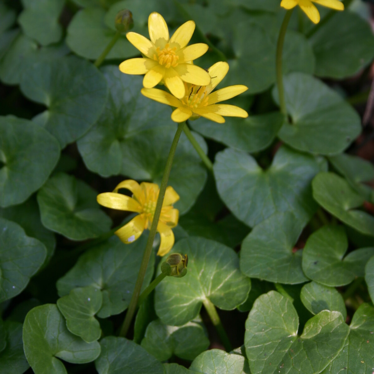 Ecosystems Driven Out Of Sync By Climate Change Ecosystems Driven Out Of Sync By Climate Change