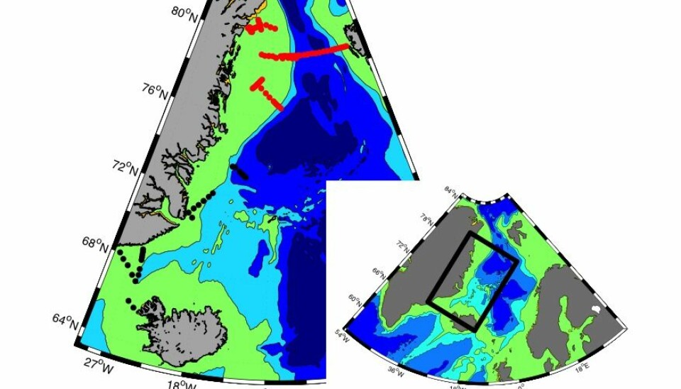 Stedmon and his colleagues sampled ocean water throughout the North Atlantic, shown here by black and red dots. The different colour denotes separate field campaigns. Red dots depict samples taken across the Fram Strait that intercept the East Greenland Current. (Illustration: Colin Stedmon)