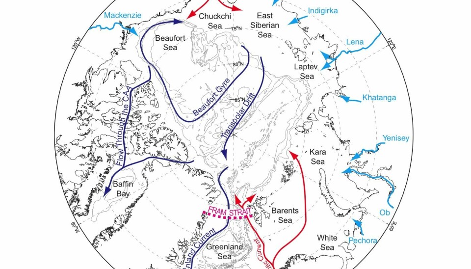 Dissolved organic matter from Siberian rivers (light blue arrows) enters the Arctic Ocean and is carried by ocean currents (dark blue and red arrows) into the Fram Strait (dashed line). Here, the East Greenland Current carries it into the Atlantic Ocean. (Illustration: Paul Dodd)