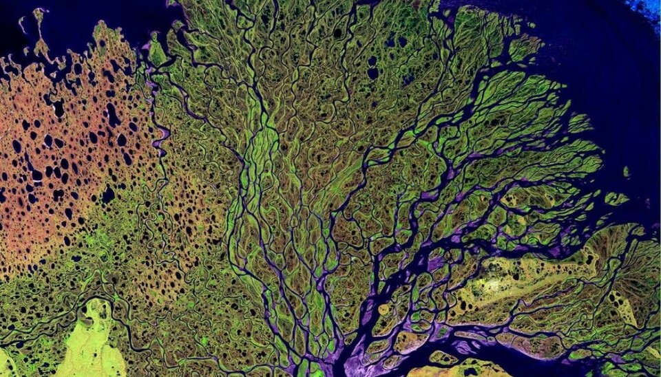 The Lena River is one of the longest rivers in the world at 2,800 miles long. It is the easternmost of the three great Siberian rivers that flow into the Arctic Ocean. (Photo: NASA)