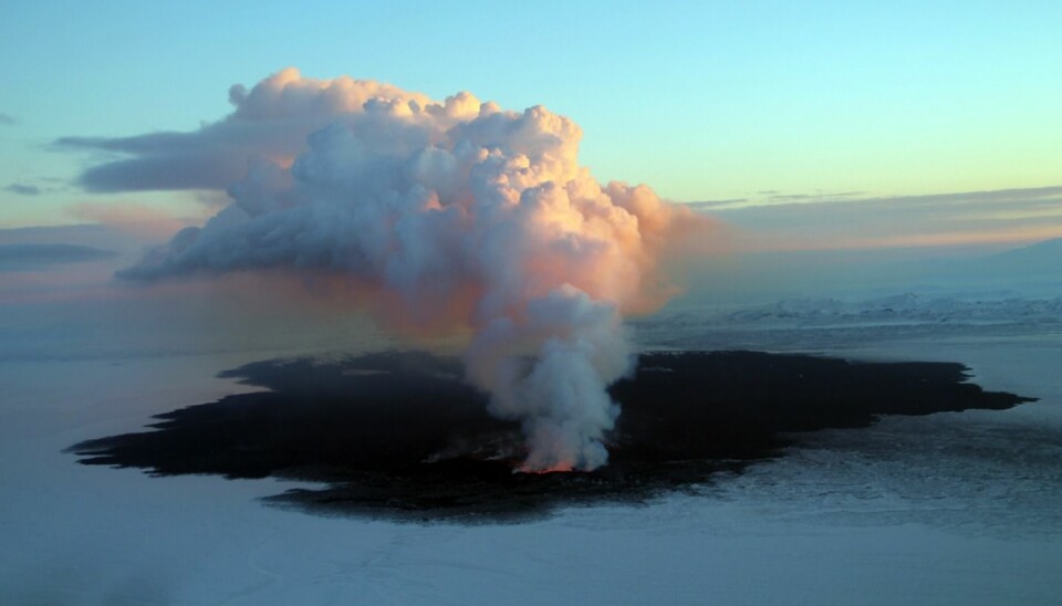 Day 100: Lava around the Holuhraun eruption site, 8 December 2014 (Photo: Gro Birkefeldt Möller Pedersen)