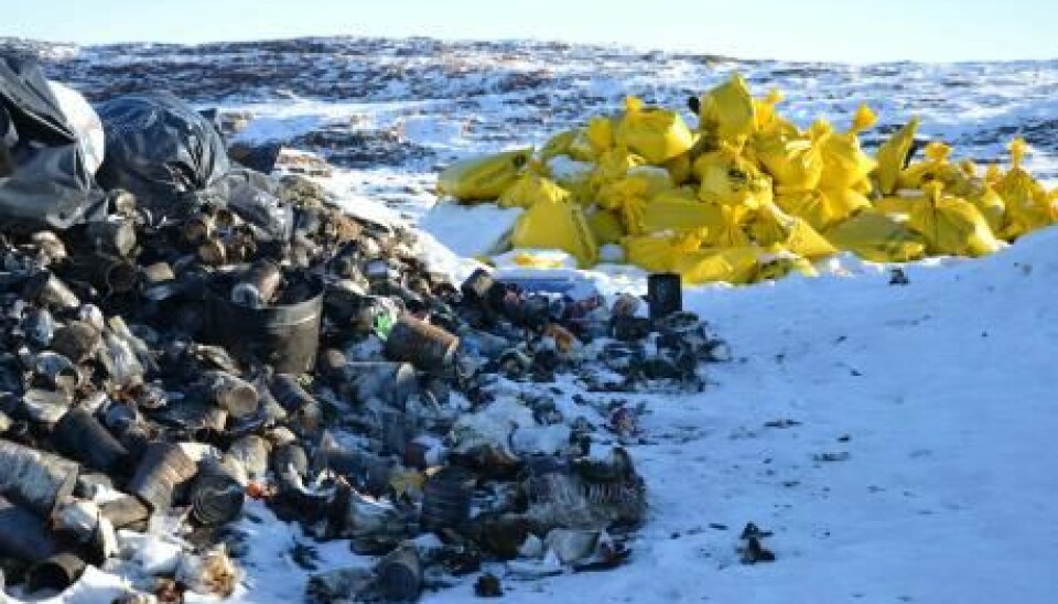 Domestic waste is stored in bags on the beach. Waste can leak into the sea when birds and animals poke holes in the bags in search of food and contaminate the icebergs stored on land. (Photo: Kåre Hendriksen)