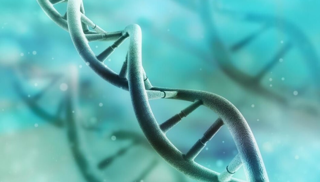 New study shows that genes affect people’s social ideological orientation, such as attitudes towards border controls and measures to tackle terrorism (Photo: Shutterstock). New study shows that genes affect people’s social ideological orientation, such as attitudes towards border controls and measures to tackle terrorism (Photo: Shutterstock).