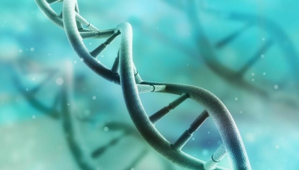 New study shows that genes affect people’s social ideological orientation, such as attitudes towards border controls and measures to tackle terrorism (Photo: Shutterstock).