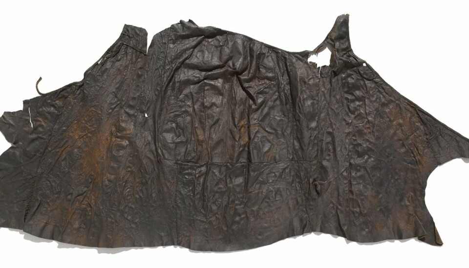 A cloak preserved with the Haraldskjaer Woman bog body discovered in Jutland, Denmark in 1835, was at first believed to be made from seal skin. We now know that it was made of goat skin. Scale bar measures 10 centimetres. (Photo: Roberto Fortuna, 2006)