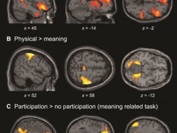 Areas of the brain activated by a mental test (top row) and a physical test (middle row). The bottom row shows the difference in brain activity in participants who had and had not taken part in the preparation of Lego models, respectively. (Photo: University of Aarhus) Areas of the brain activated by a mental test (top row) and a physical test (middle row). The bottom row shows the difference in brain activity in participants who had and had not taken part in the preparation of Lego models, respectively. (Photo: University of Aarhus)
