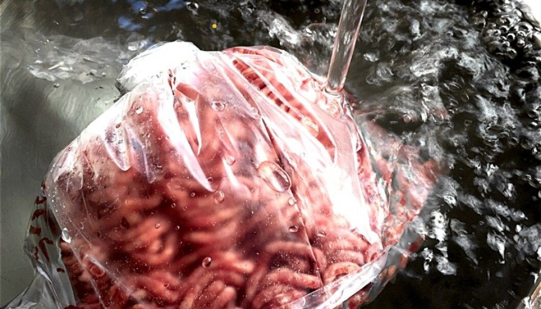 Thaw your frozen meats in a sealed bag in a bowl of cold water or in the sink. Vegetables should also be thawed quickly for best eating. (Photo: Bård Amundsen) Thaw your frozen meats in a sealed bag in a bowl of cold water or in the sink. Vegetables should also be thawed quickly for best eating. (Photo: Bård Amundsen)