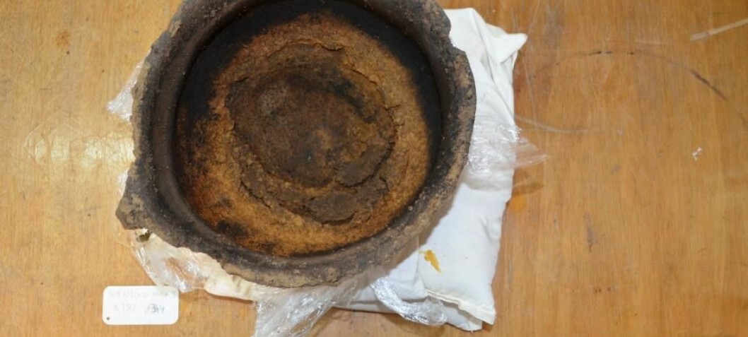 Burnt cheese casts light on 3,000 year-old family drama