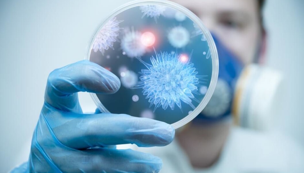Scientists now understand how a certain type of bacteria manage to photosynthesise in almost complete darkness. The new discovery could help improve solar panels to be more efficient at low light levels (Photo: Shutterstock). Scientists now understand how a certain type of bacteria manage to photosynthesise in almost complete darkness. The new discovery could help improve solar panels to be more efficient at low light levels (Photo: Shutterstock).