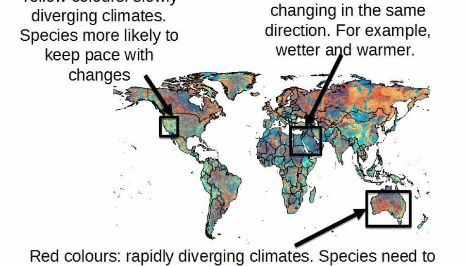A new map highlights where new climates and species assemblages are most likely to occur. The different shading indicates both the speed and type of change that is under way. (Illustration: Alejandro Ordonez)