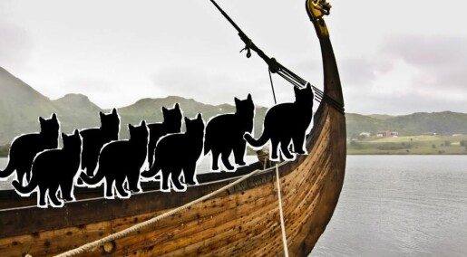 Viking sailors took their cats with them