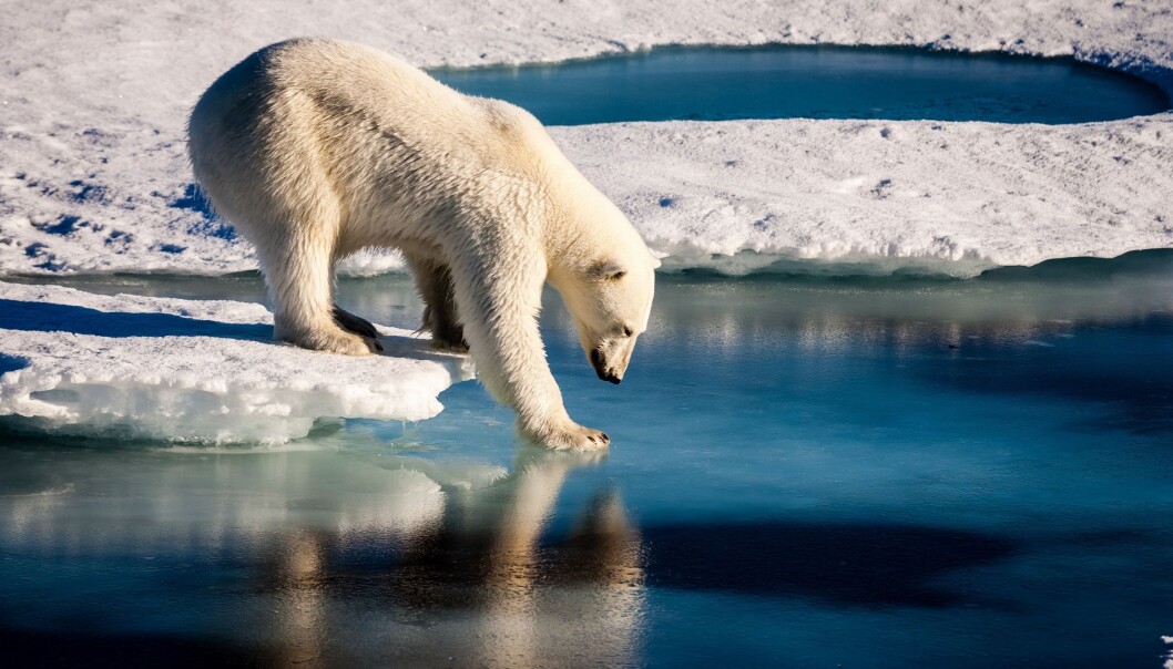 It has been another record-breaking warm year and Arctic sea ice remains well below the long-term average. (Photo: Mario Hoppmann (distributed via imaggeo.egu.eu)) It has been another record-breaking warm year and Arctic sea ice remains well below the long-term average. (Photo: Mario Hoppmann (distributed via imaggeo.egu.eu))