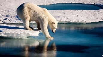 When will the Arctic be ice free?