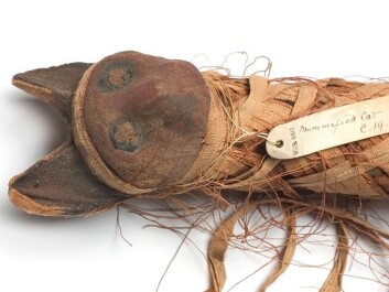 The mummified remains of an ancient Egyptian cat. Ancient Egyptians may have tamed wild cats as early as 6,000 years ago. (Photo: Natural History Museum, London / Science Photo Library) The mummified remains of an ancient Egyptian cat. Ancient Egyptians may have tamed wild cats as early as 6,000 years ago. (Photo: Natural History Museum, London / Science Photo Library)