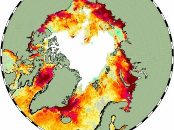 Record warm temperatures were observed throughout the Arctic Ocean on September 8th, 2016. Orange, red, and purple shading show where the ocean was warmer than the average for the time of year. (Illustration: Jacob Høyer, DMI)