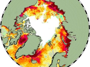 Record warm temperatures were observed throughout the Arctic Ocean on September 8th, 2016. Orange, red, and purple shading show where the ocean was warmer than the average for the time of year. (Illustration: Jacob Høyer, DMI) Record warm temperatures were observed throughout the Arctic Ocean on September 8th, 2016. Orange, red, and purple shading show where the ocean was warmer than the average for the time of year. (Illustration: Jacob Høyer, DMI)