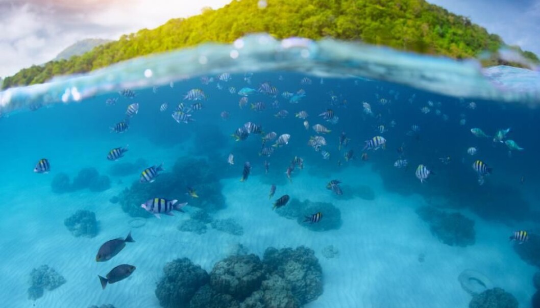 Bacteria influence the oceans’ ability to take up carbon dioxide from the atmosphere. Scientists have now discovered the precise conditions needed before the ocean loses its ability to absorb carbon dioxide. (Photo: Shutterstock) Bacteria influence the oceans’ ability to take up carbon dioxide from the atmosphere. Scientists have now discovered the precise conditions needed before the ocean loses its ability to absorb carbon dioxide. (Photo: Shutterstock)
