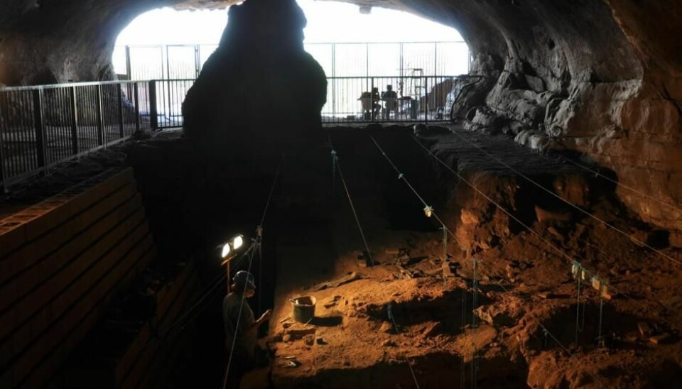 Proteins were analysed from eggshells collected from many famous archaeological sites. One site was the Wonderwerk Cave in South Africa shown in the photo above. (Photo: Michael Chazan)