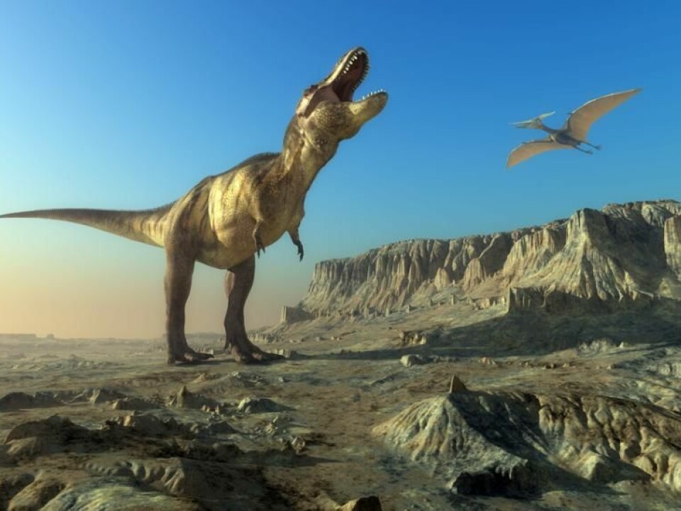 All dinosaurs--except birds--went extinct at the end of the Cretaceous, 65 million years ago. (Photo: Shutterstock)