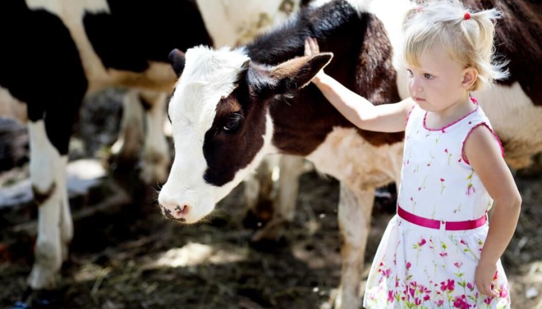 A rural upbringing protects children against irritated airways and allergies later in life, shows new research. (Photo: Shutterstock) A rural upbringing protects children against irritated airways and allergies later in life, shows new research. (Photo: Shutterstock)