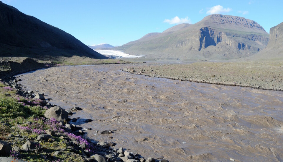 A river of turbid meltwater, rich in sediments and nutrients flows towards Disko Fjord. The snout of the Kuannersuit Sulluat outlet glacier can be seen in the background. (Photo: Thor Markussen)