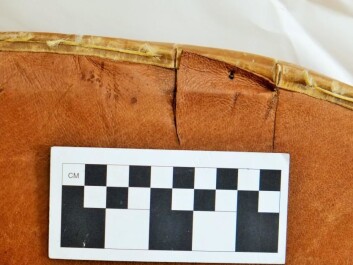 The shield received some harsh blows during the test. Archaeologist Rolf Warming compared the marks to see the difference between passive and active use. (Photo: Rolf Warming) The shield received some harsh blows during the test. Archaeologist Rolf Warming compared the marks to see the difference between passive and active use. (Photo: Rolf Warming)