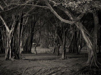 In the horror game “Amnesia: The Dark Descent” players wake up in the dark, and do not know where or who they are. The game exploits our fear of the dark and loud noises that we have evolved to respond to. (Photo: Shutterstock) In the horror game “Amnesia: The Dark Descent” players wake up in the dark, and do not know where or who they are. The game exploits our fear of the dark and loud noises that we have evolved to respond to. (Photo: Shutterstock)