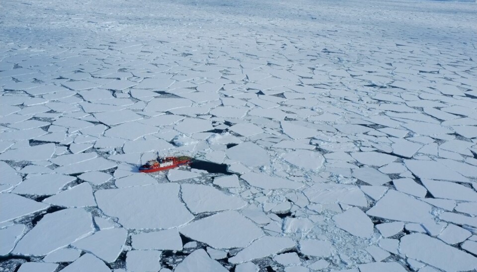 Thick multi-year ice was replaced by thinner so-called first-year sea ice that formed in the winter and melted away every summer, like the ice shown here. (Photo: Andrea Spolaor)