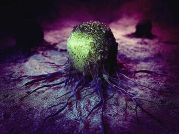 Some types of bladder cancer are molecularly more similar to breast cancer. “This means that we can use drugs originally developed to target specific proteins in breast cancer, to treat bladder cancer,” says Daugaard. (Photo: Shutterstock) Some types of bladder cancer are molecularly more similar to breast cancer. “This means that we can use drugs originally developed to target specific proteins in breast cancer, to treat bladder cancer,” says Daugaard. (Photo: Shutterstock)