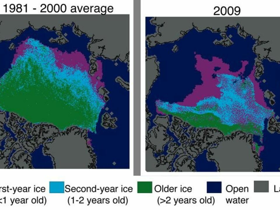 The North Pole’s sea ice has become younger. Here, the age of the sea ice at the end of the melting season is shown. (After C. Fowler and J. Maslanik, University of Colorado Boulder).