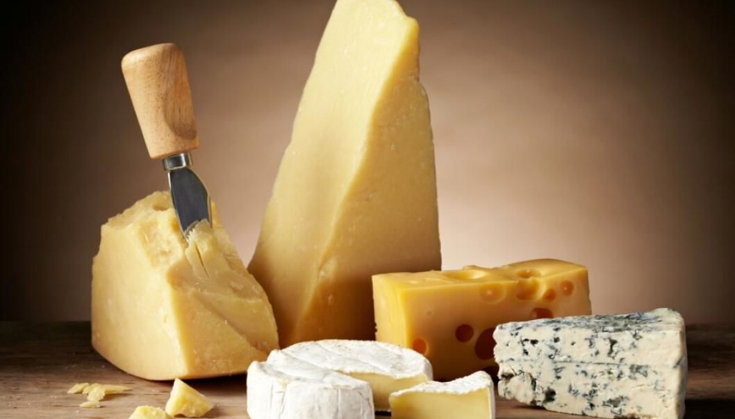 Brie, Gouda, Cheddar, and Parmesan. Whatever your preference, it seems that, health wise, there are no major differences between them. (Photo: Shutterstock) Brie, Gouda, Cheddar, and Parmesan. Whatever your preference, it seems that, health wise, there are no major differences between them. (Photo: Shutterstock)