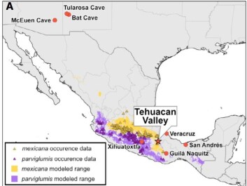 The map shows how teosinte-subspecies spread around Mexico. Important archaeological sites (red circles) and the Tehuacan valley, where the 5,000-year-old corncob was discovered. (Illustration: Ramos-Madrigal et al./Curr. Biol) The map shows how teosinte-subspecies spread around Mexico. Important archaeological sites (red circles) and the Tehuacan valley, where the 5,000-year-old corncob was discovered. (Illustration: Ramos-Madrigal et al./Curr. Biol)