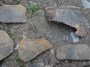 The ornamentation on fragments of clay pots suggests that the fire happened around 100 CE. (Photo: Ida Westh Hansen, Museum Viborg). The ornamentation on fragments of clay pots suggests that the fire happened around 100 CE. (Photo: Ida Westh Hansen, Museum Viborg).