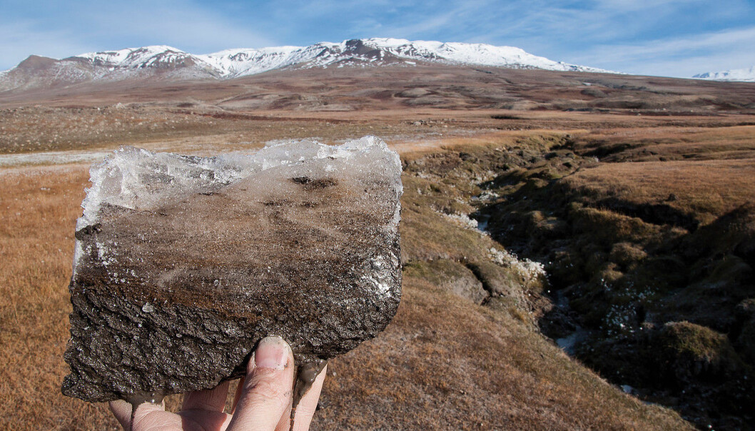 Rapidly warming Arctic soils could speed up carbon release by respiring microbes, adding an additional 12 to 17 per cent carbon dioxide to the atmosphere and accelerating climate change. (Photo: Bo Elberling) Rapidly warming Arctic soils could speed up carbon release by respiring microbes, adding an additional 12 to 17 per cent carbon dioxide to the atmosphere and accelerating climate change. (Photo: Bo Elberling)