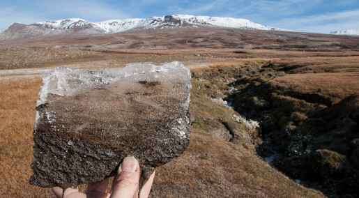 Arctic soils: a ticking climate time bomb