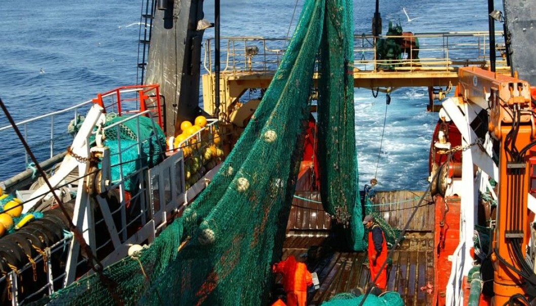 Scientists have shown for the first time that a water sample from the deep ocean can tell you what, and how many, fish live in the area. (Photo: Peter Rask Møller) Scientists have shown for the first time that a water sample from the deep ocean can tell you what, and how many, fish live in the area. (Photo: Peter Rask Møller)