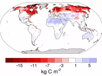 Map of predicted soil carbon loss (red shading) and gain (blue shading) by 2050 due to warming. Greatest losses are in the Arctic and subarctic (dark red shading). Some of these losses occur in agricultural land and could be reduced by changing farming practices. But large swathes are sparsely habited or uninhabited permafrost and boreal forest. (Photo: Crowther et al. 2016 / Nature)